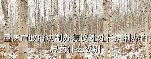 重慶市政府法制辦復議處處長法制辦白忠菊什么級別