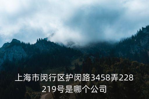 上海市閔行區(qū)護閔路3458弄228219號是哪個公司