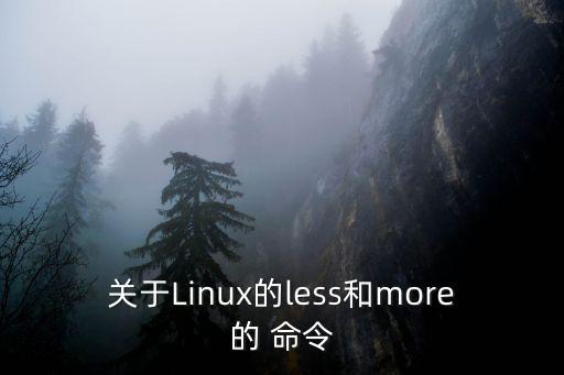 關于Linux的less和more的 命令