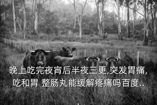 晚上吃完夜宵后半夜三更,突發(fā)胃痛,吃和胃 整腸丸能緩解疼痛嗎百度...