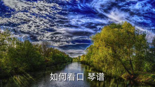 如何看口 琴譜