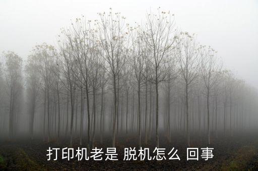 打印機脫機是怎么回事,打印機脫機use菜單欄選擇第二項