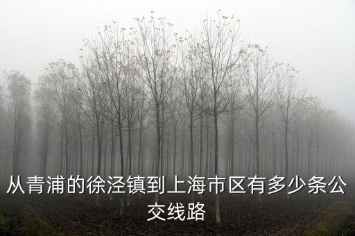 從青浦的徐涇鎮到上海市區有多少條公交線路