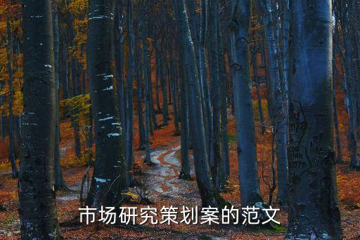 市場(chǎng)策劃方案，市場(chǎng)研究策劃案的范文