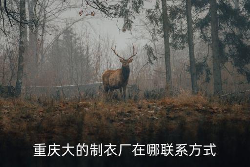 重慶大的制衣廠在哪聯(lián)系方式