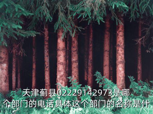 天津市薊縣古尚電話，天津薊縣02229142973是哪個部門的電話具體這個部門的名稱是什