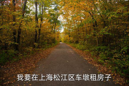 我要在上海松江區(qū)車墩租房子