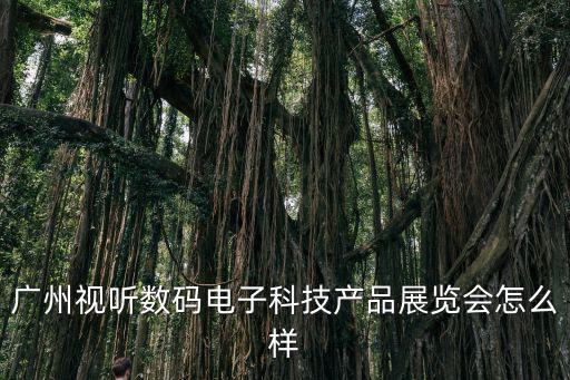 廣州視聽數(shù)碼電子科技產(chǎn)品展覽會怎么樣