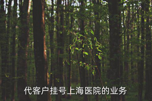 代客戶(hù)掛號(hào)上海醫(yī)院的業(yè)務(wù)