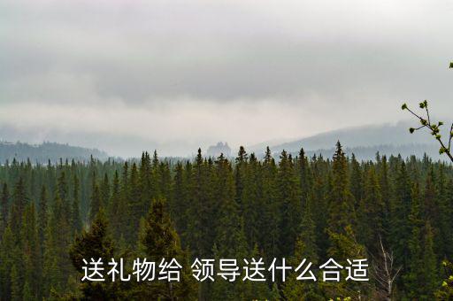 送禮物給 領導送什么合適