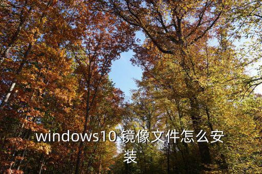 鏡像安裝,安裝完畢后點(diǎn)擊瀏覽器確定按鈕
