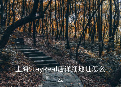 上海StayReal店詳細地址怎么去