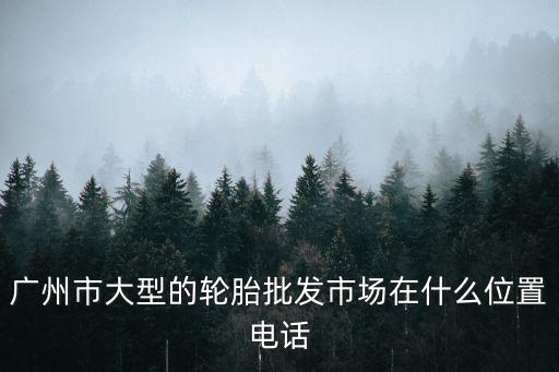 廣州市大肥佬輪胎有限公司，WLNGR是什么輪胎牌子