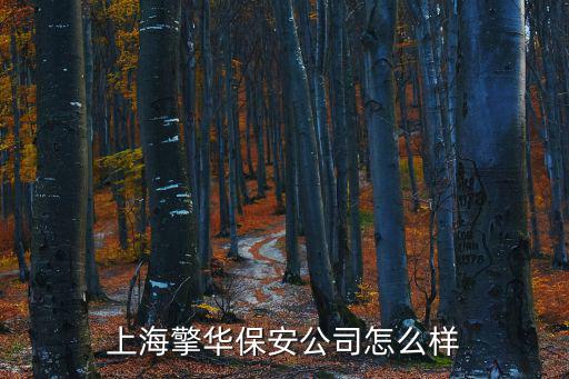 上海市擎，上海哪個品牌的水洗機質量最好