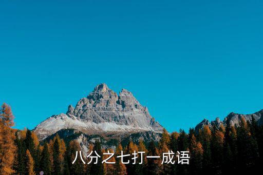 八分之七打一成語