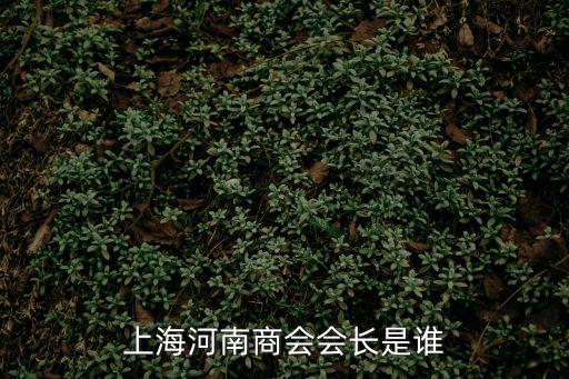 上海河南商會會長是誰