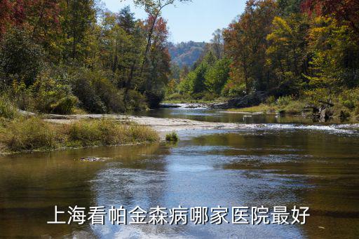 上海治療帕金森最權威醫院，上海帕金森治療哪個醫院好