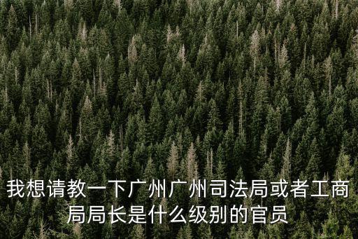 我想請教一下廣州廣州司法局或者工商局局長是什么級別的官員