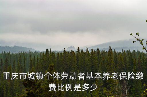 重慶市城鎮(zhèn)個體勞動者基本養(yǎng)老保險繳費比例是多少