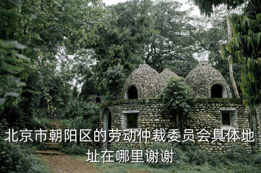 朝陽區(qū)勞動仲裁地址在哪里啊，北京市朝陽區(qū)的勞動仲裁委員會具體地址在哪里謝謝