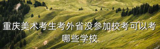 重慶美術考生考外省沒參加校考可以考哪些學校