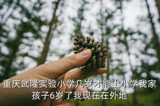 重慶武隆實驗小學幾歲才能上小學我家孩子6歲了我現在在外地