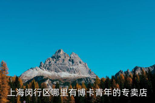 上海閔行區哪里有博卡青年的專賣店