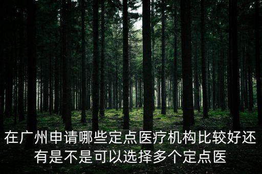 在廣州申請(qǐng)哪些定點(diǎn)醫(yī)療機(jī)構(gòu)比較好還有是不是可以選擇多個(gè)定點(diǎn)醫(yī)