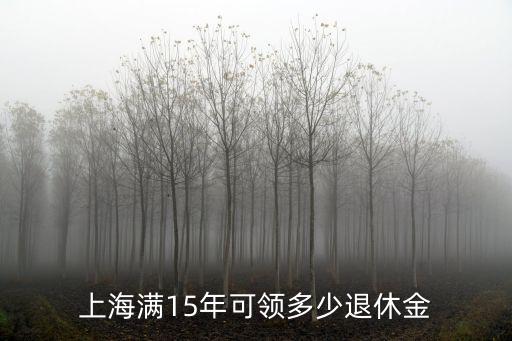 上海市現在的養老保險金領取金額，2021年上海市養老金中位數