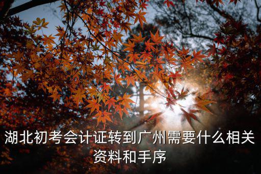 現在湖北到廣州需要什么文件，湖北初考會計證轉到廣州需要什么相關資料和手序