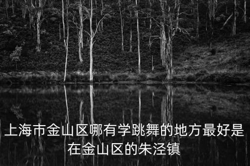 上海市金山區(qū)哪有學(xué)跳舞的地方最好是在金山區(qū)的朱涇鎮(zhèn)