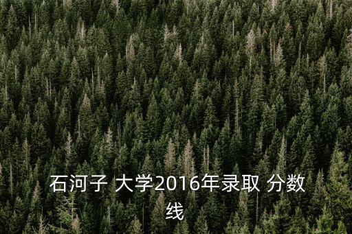  石河子 大學2016年錄取 分數線