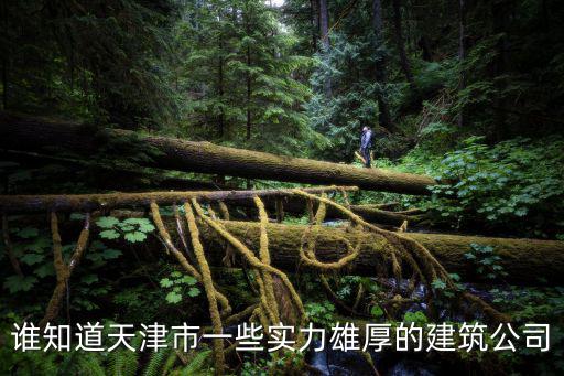 天津市住一建筑公司，天津天一建設(shè)集團(tuán)有限公司怎么樣已經(jīng)簽就業(yè)協(xié)議了謝謝 好的加