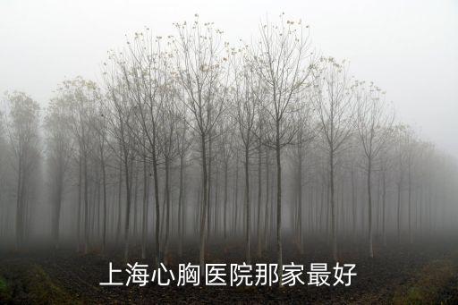 上海心胸醫(yī)院那家最好