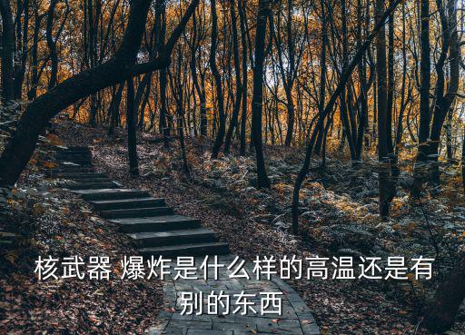 核武器爆炸,核爆可在微秒內(nèi)完成分四大類