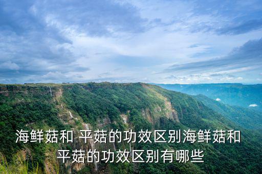 海鮮菇和 平菇的功效區別海鮮菇和 平菇的功效區別有哪些