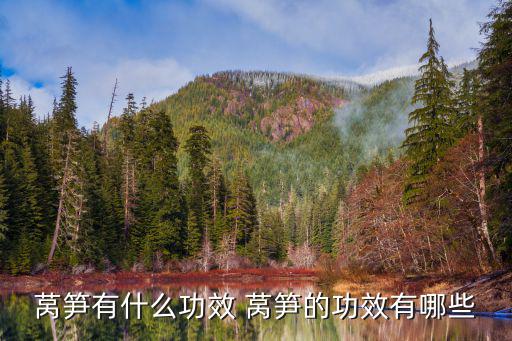 萵筍有什么功效 萵筍的功效有哪些