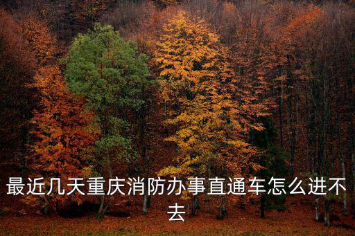 最近幾天重慶消防辦事直通車怎么進(jìn)不去