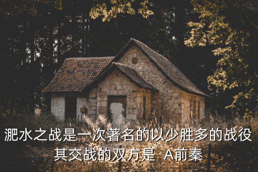 睢水之戰，關于淝水之戰的成語故事