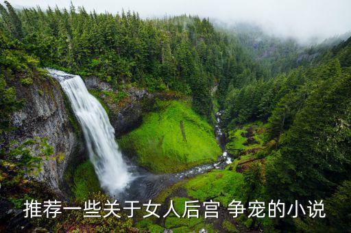 推薦一些關于女人后宮 爭寵的小說