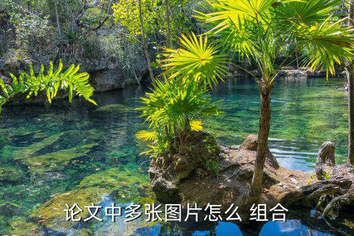 論文中多張圖片怎么 組合