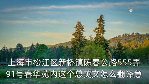 上海市松江區新橋鎮陳春公路555弄91號春華苑內這個總英文怎么翻譯急