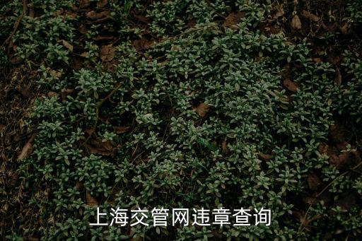 上海交管網違章查詢