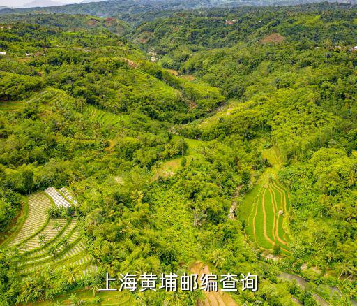 上海市黃浦區夢花街郵編，上海黃埔郵編查詢
