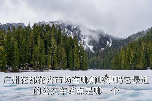廣州花都花卉市場在哪獅嶺鎮嗎它最近的公交車站點是哪一個