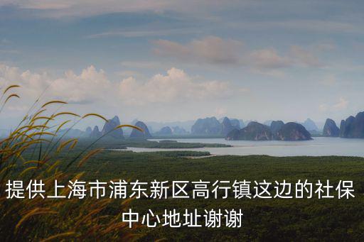 提供上海市浦東新區高行鎮這邊的社保中心地址謝謝