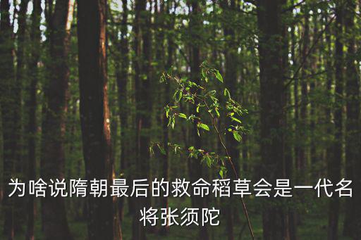 為啥說隋朝最后的救命稻草會是一代名將張須陀