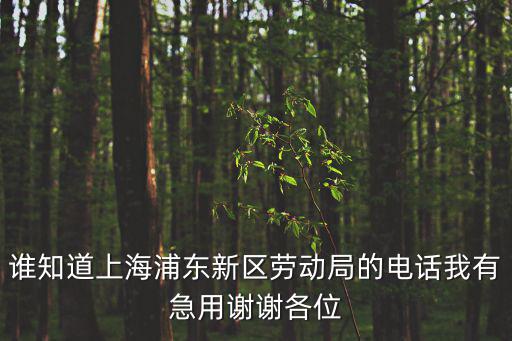 誰知道上海浦東新區(qū)勞動(dòng)局的電話我有急用謝謝各位