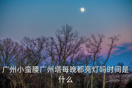 廣州小蠻腰廣州塔每晚都亮燈嗎時間是什么