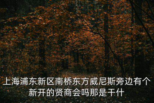 上海市浦東商會四川遂寧，上海浦東新區南橋東方威尼斯旁邊有個新開的賢商會嗎那是干什